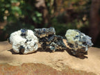 Natural Schorl Black Tourmaline Specimens with Inclusions x 35 From Erongo, Namibia
