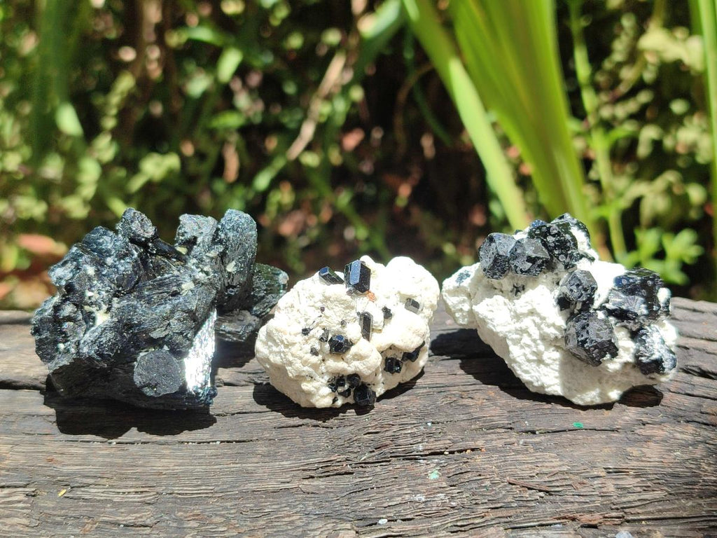 Natural Schorl Black Tourmaline Specimens with Inclusions x 35 From Erongo, Namibia