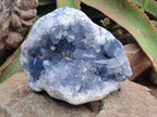 Natural Blue Celestite Cluster Specimens x 2 From Sakoany, Madagascar