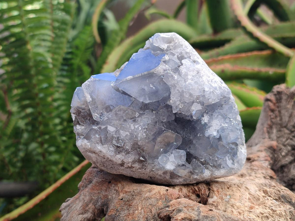 Natural Blue Celestite Cluster Specimens x 2 From Sakoany, Madagascar