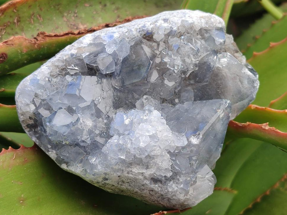 Natural Blue Celestite Cluster Specimens x 2 From Sakoany, Madagascar