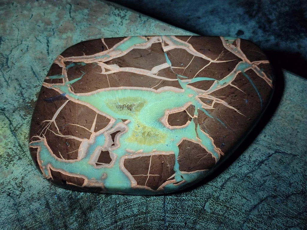 Polished Septerye Slices x 5 From Mahajanga, Madagascar