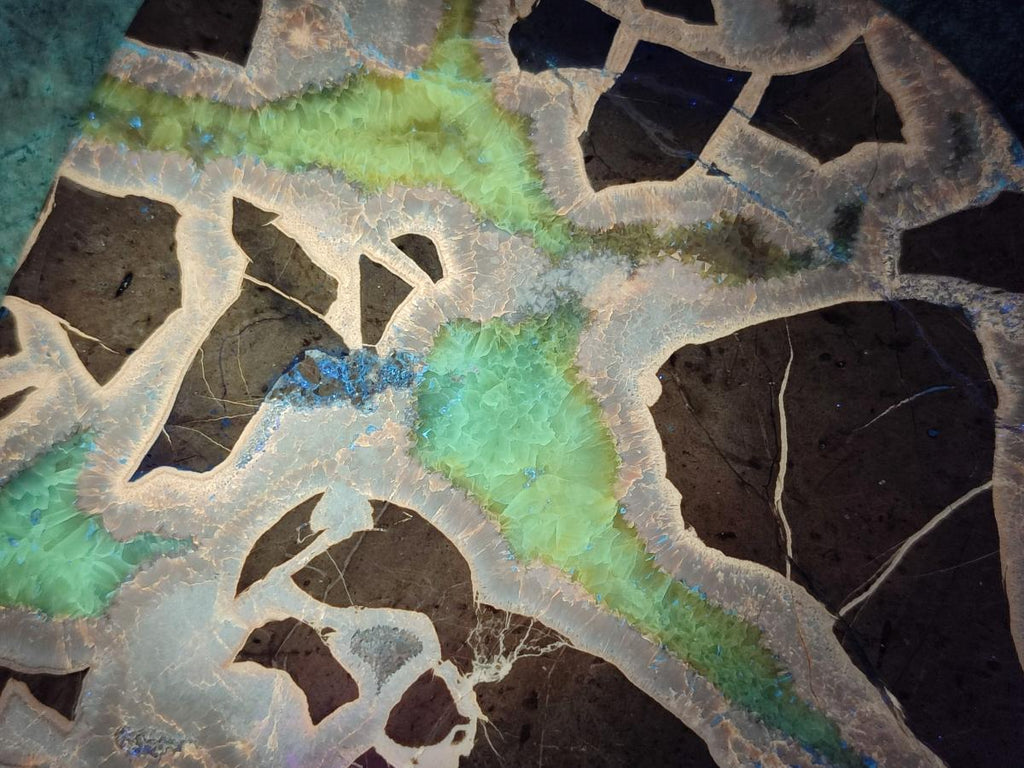 Polished Septerye Slices x 5 From Mahajanga, Madagascar