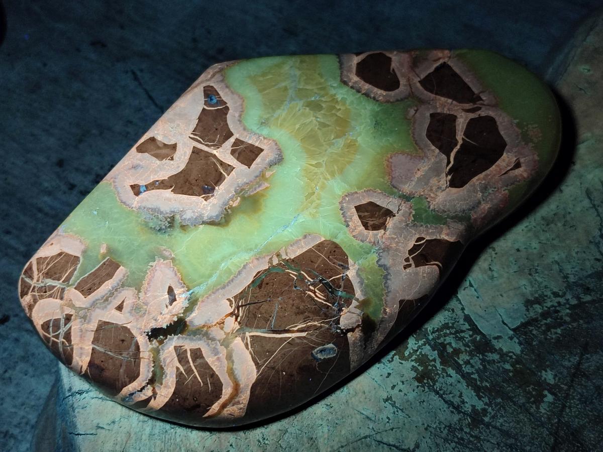 Polished Septerye Slices x 5 From Mahajanga, Madagascar