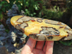Polished Septerye Slices x 5 From Mahajanga, Madagascar