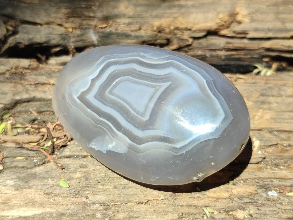 Polished Red Shashe River Agate Galets x 12 From Shashe River, Zimbabwe
