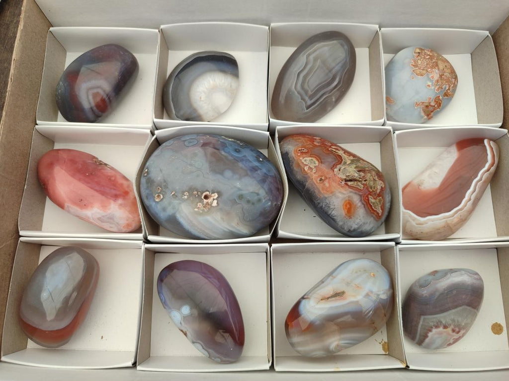 Polished Red Shashe River Agate Galets x 12 From Shashe River, Zimbabwe