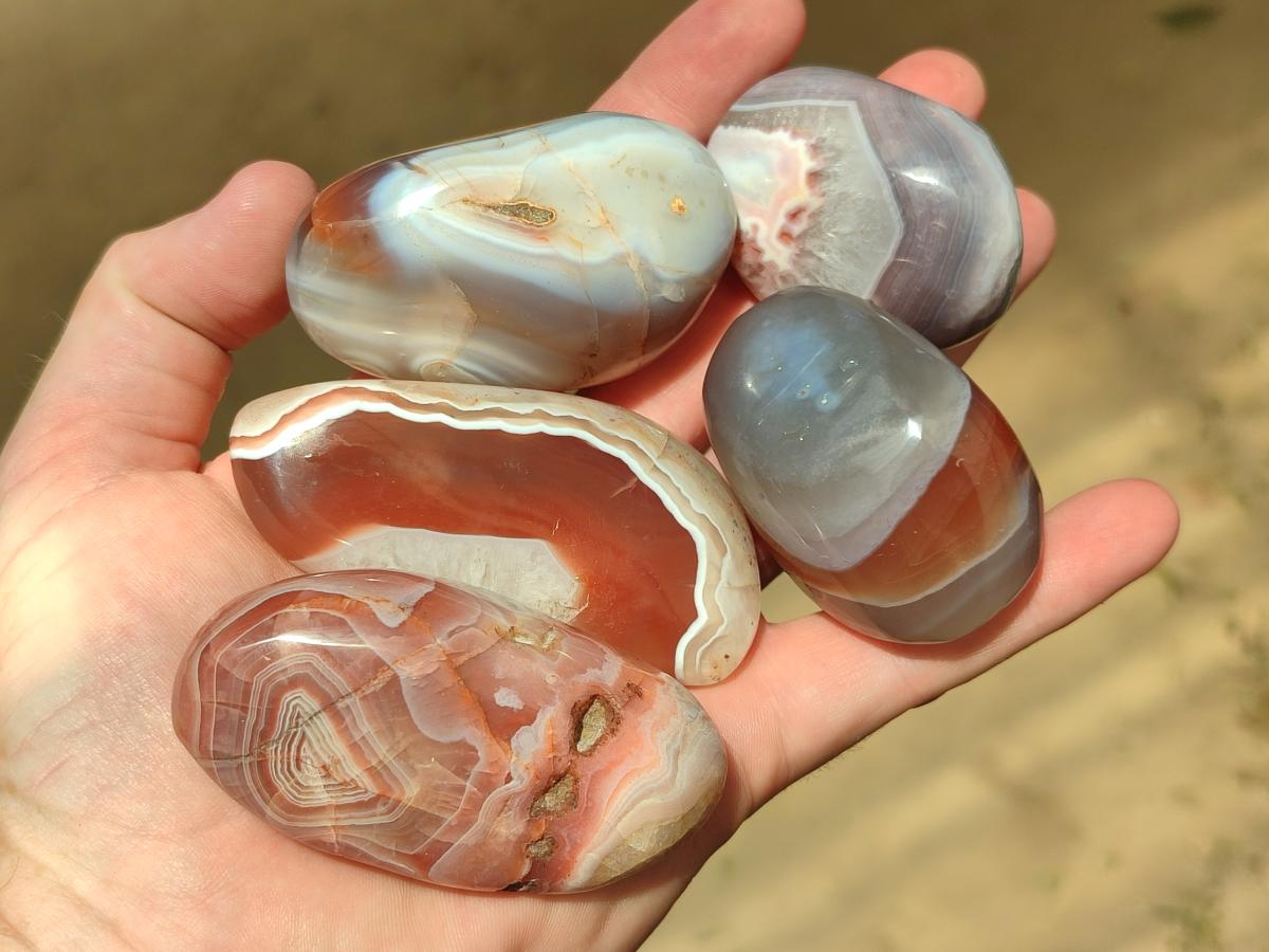 Polished Red Shashe River Agate Galets x 12 From Shashe River, Zimbabwe