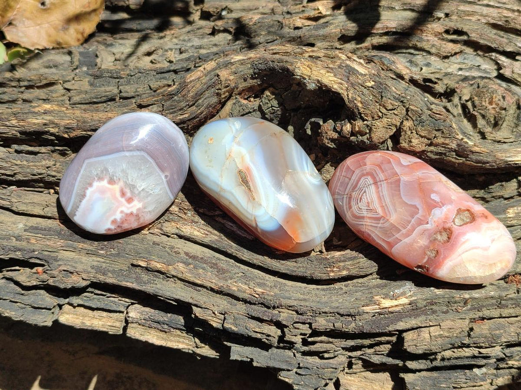 Polished Red Shashe River Agate Galets x 12 From Shashe River, Zimbabwe