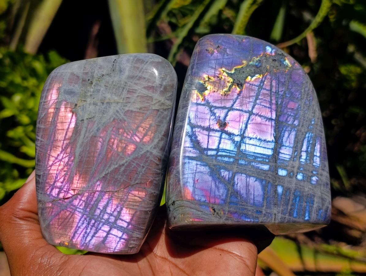 Polished Rare Purple Sunset Flash Labradorite Standing Free Forms x 4 From Madagascar
