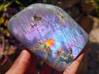 Polished Rare Purple Sunset Flash Labradorite Standing Free Forms x 4 From Madagascar