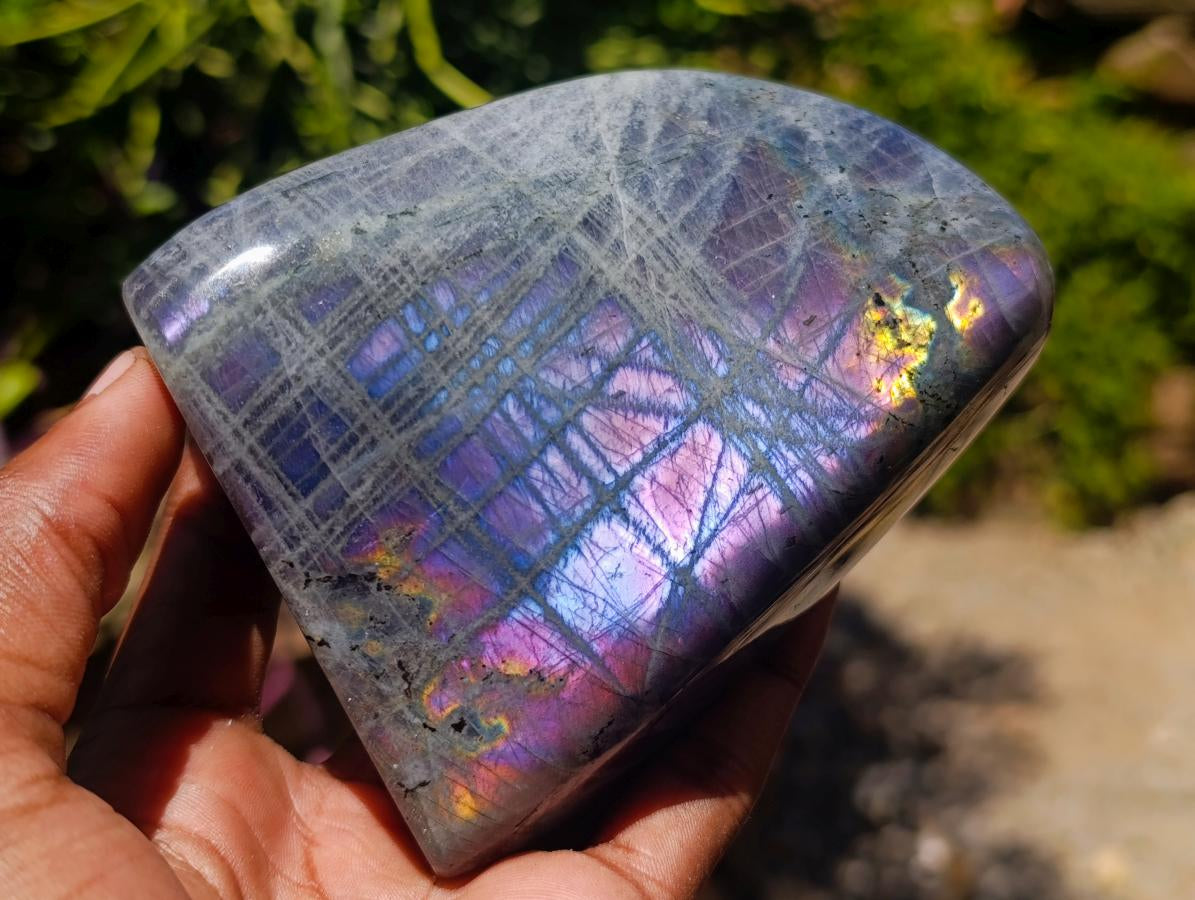 Polished Rare Purple Sunset Flash Labradorite Standing Free Forms x 4 From Madagascar
