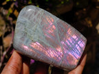 Polished Rare Purple Sunset Flash Labradorite Standing Free Forms x 4 From Madagascar