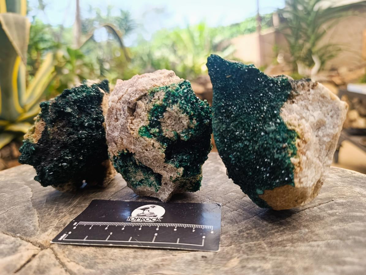 Natural Crystalline Malachite Specimens x 3 From Tenke Fungurume, Congo