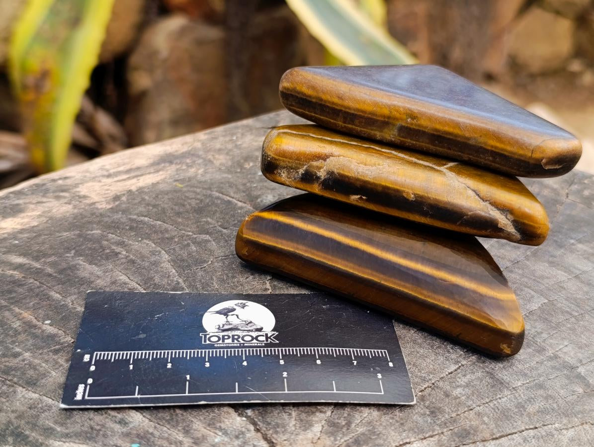 Polished Golden Tigers Eye Slices x 24 From Prieska South Africa