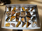 Polished Golden Tigers Eye Slices x 24 From Prieska South Africa