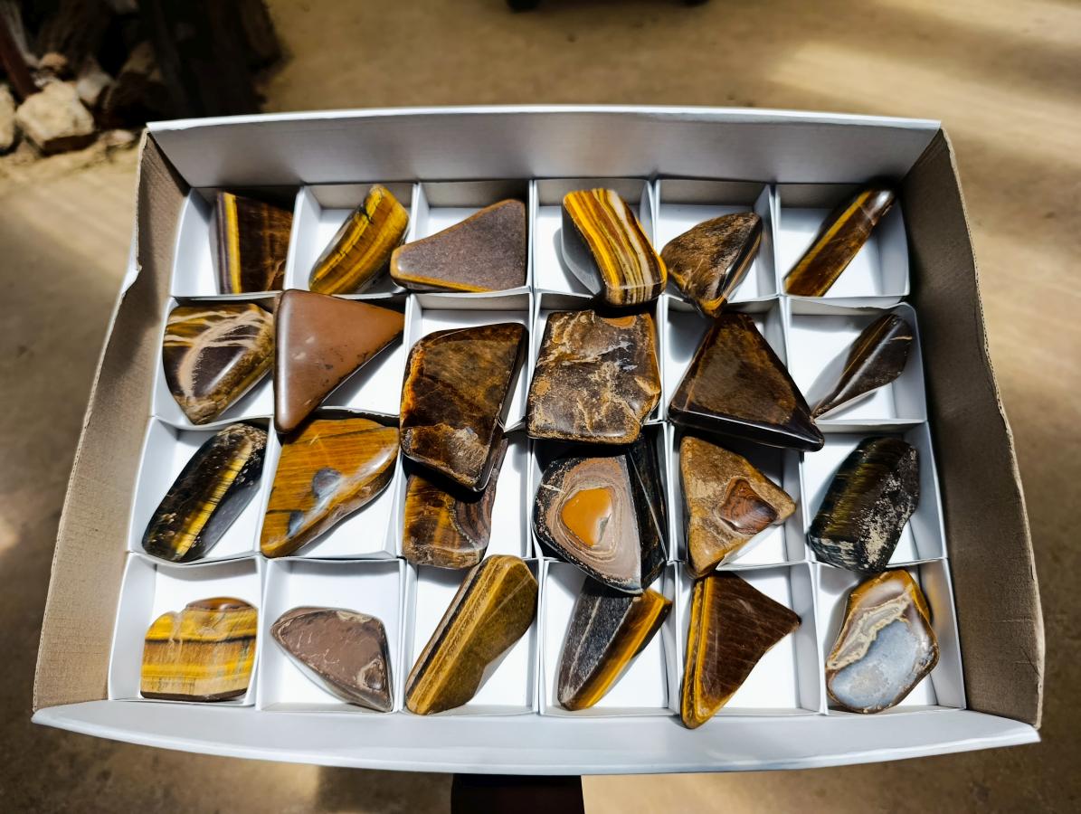 Polished Golden Tigers Eye Slices x 24 From Prieska South Africa