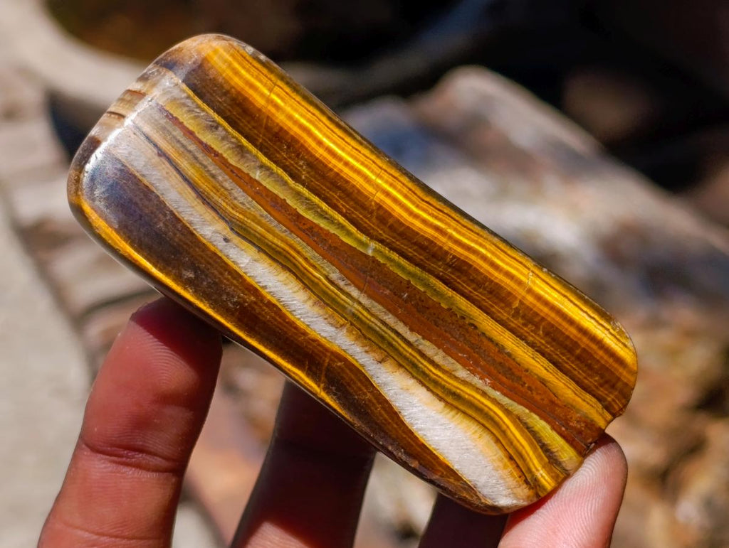 Polished Golden Tigers Eye Slices x 24 From Prieska South Africa