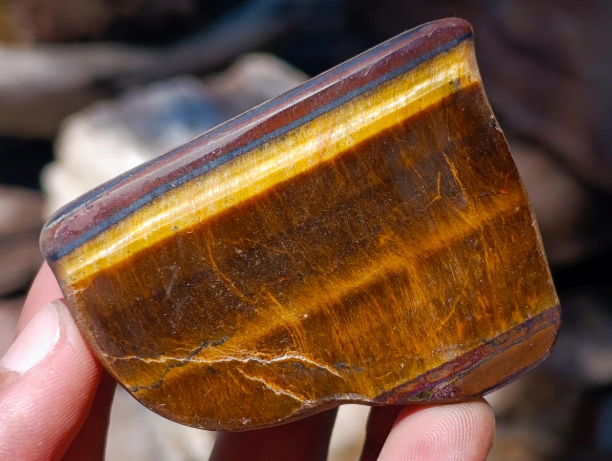 Polished Golden Tigers Eye Slices x 24 From Prieska South Africa