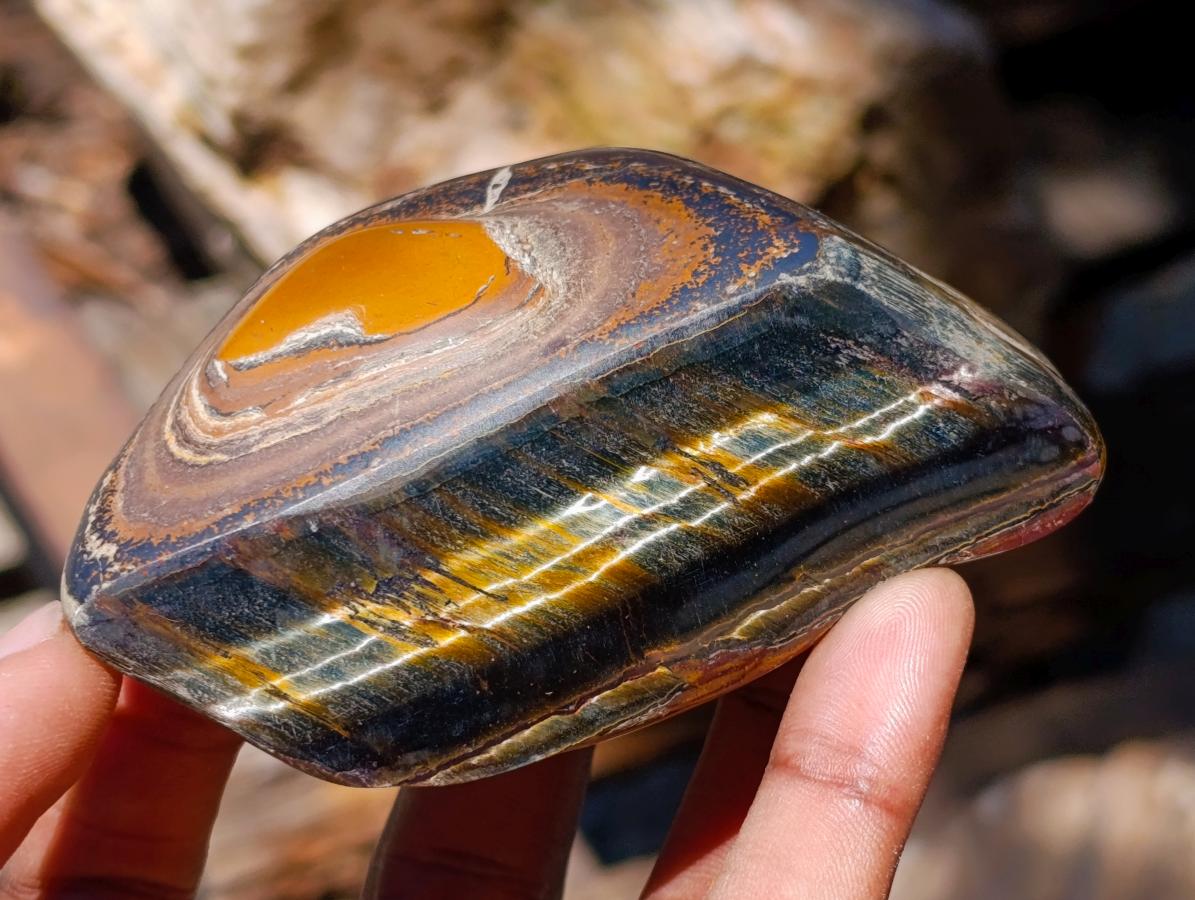 Polished Golden Tigers Eye Slices x 24 From Prieska South Africa