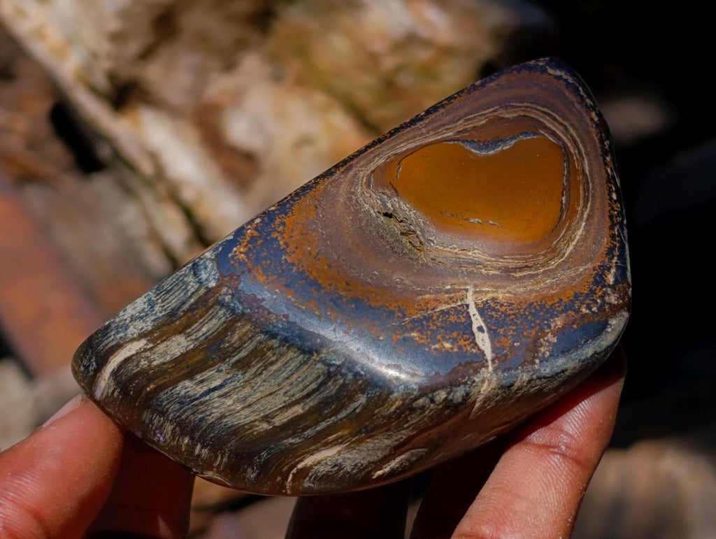 Polished Golden Tigers Eye Slices x 24 From Prieska South Africa