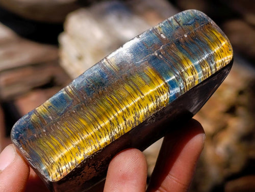 Polished Golden Tigers Eye Slices x 24 From Prieska South Africa