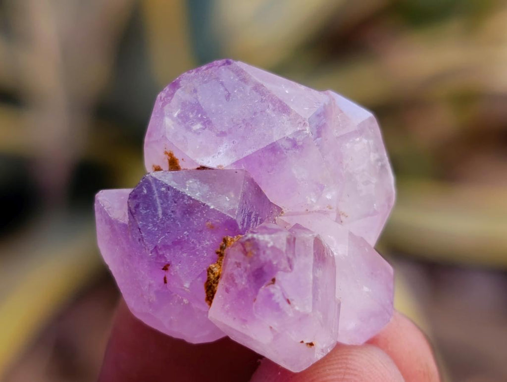 Natural Mini Lilac Amethyst Crystals x 6 Kg Lot From Madagascar
