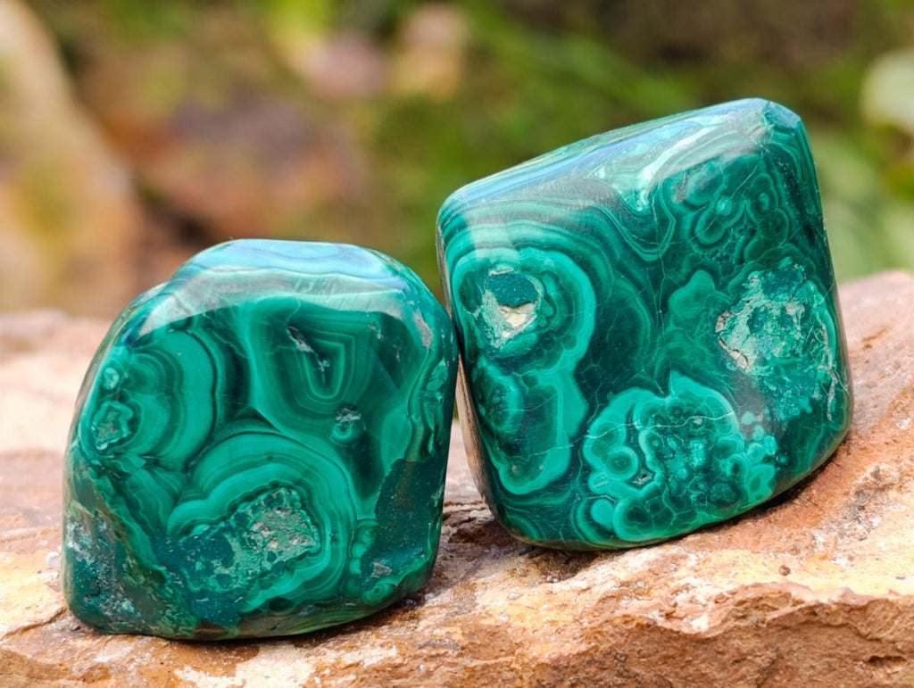 Polished Flower Banded Malachite Free Forms x 35 From Congo