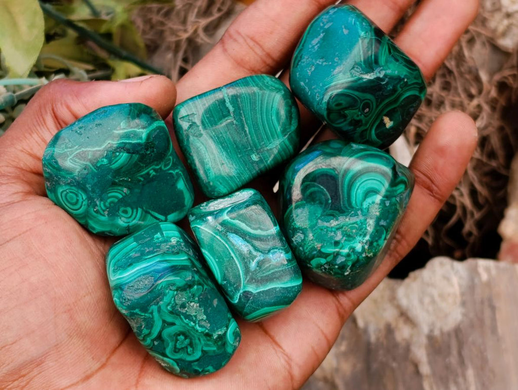 Polished Flower Banded Malachite Free Forms x 35 From Congo