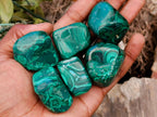 Polished Flower Banded Malachite Free Forms x 35 From Congo