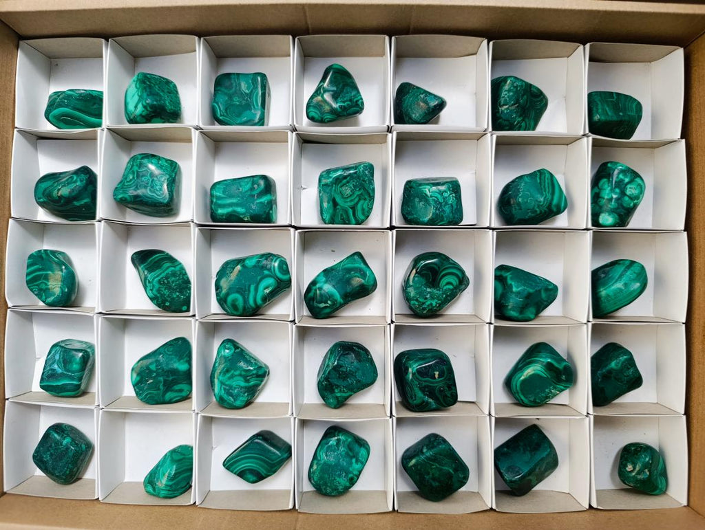 Polished Flower Banded Malachite Free Forms x 35 From Congo