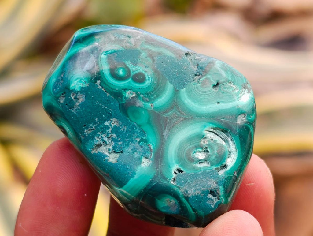 Polished Flower Banded Malachite Free Forms x 35 From Congo