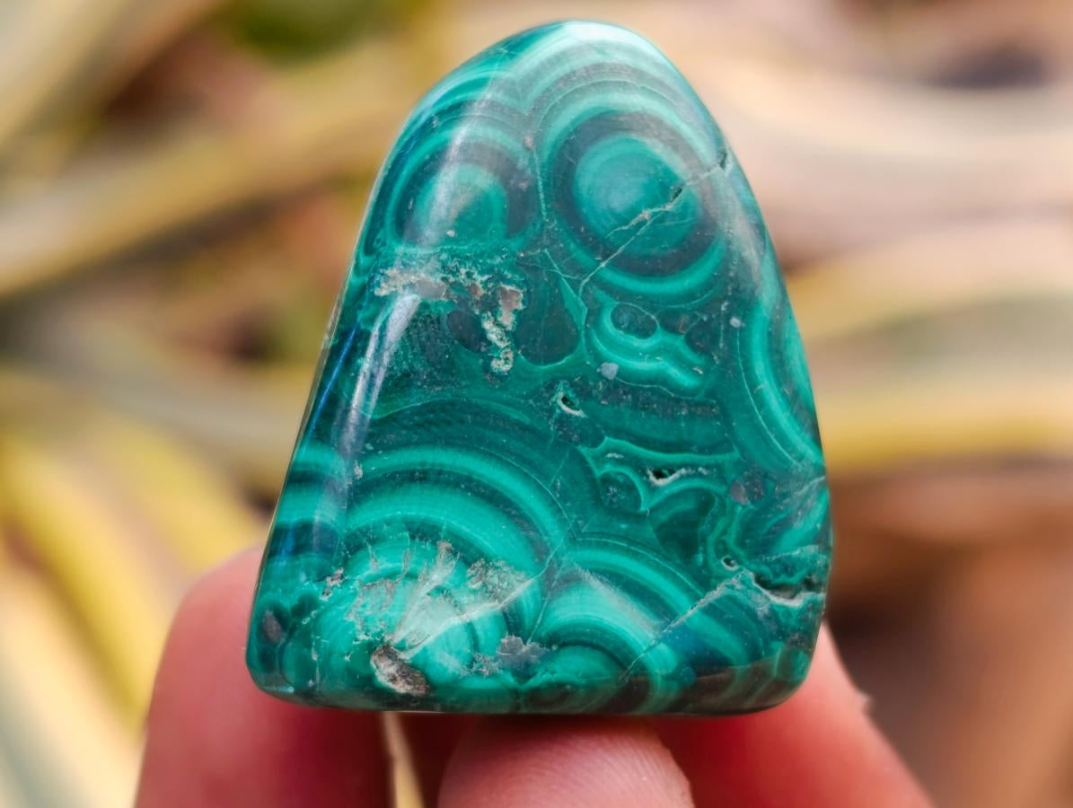 Polished Flower Banded Malachite Free Forms x 35 From Congo