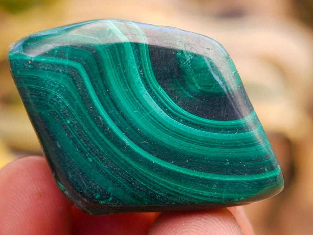 Polished Flower Banded Malachite Free Forms x 35 From Congo