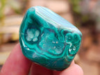 Polished Flower Banded Malachite Free Forms x 35 From Congo