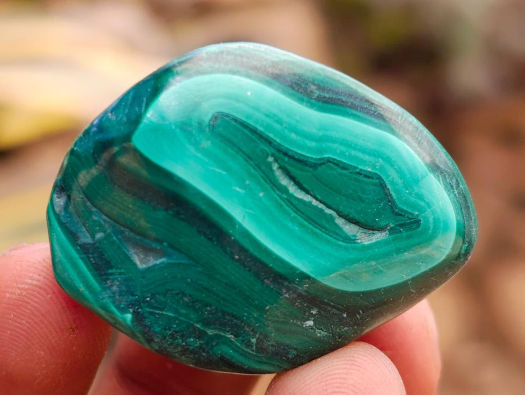 Polished Flower Banded Malachite Free Forms x 35 From Congo