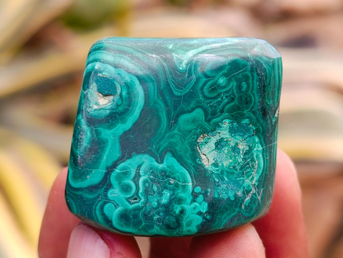 Polished Flower Banded Malachite Free Forms x 35 From Congo