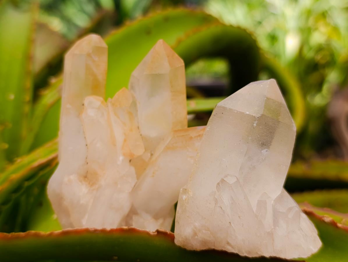 Natural Quartz Clusters x 26 From Madagascar