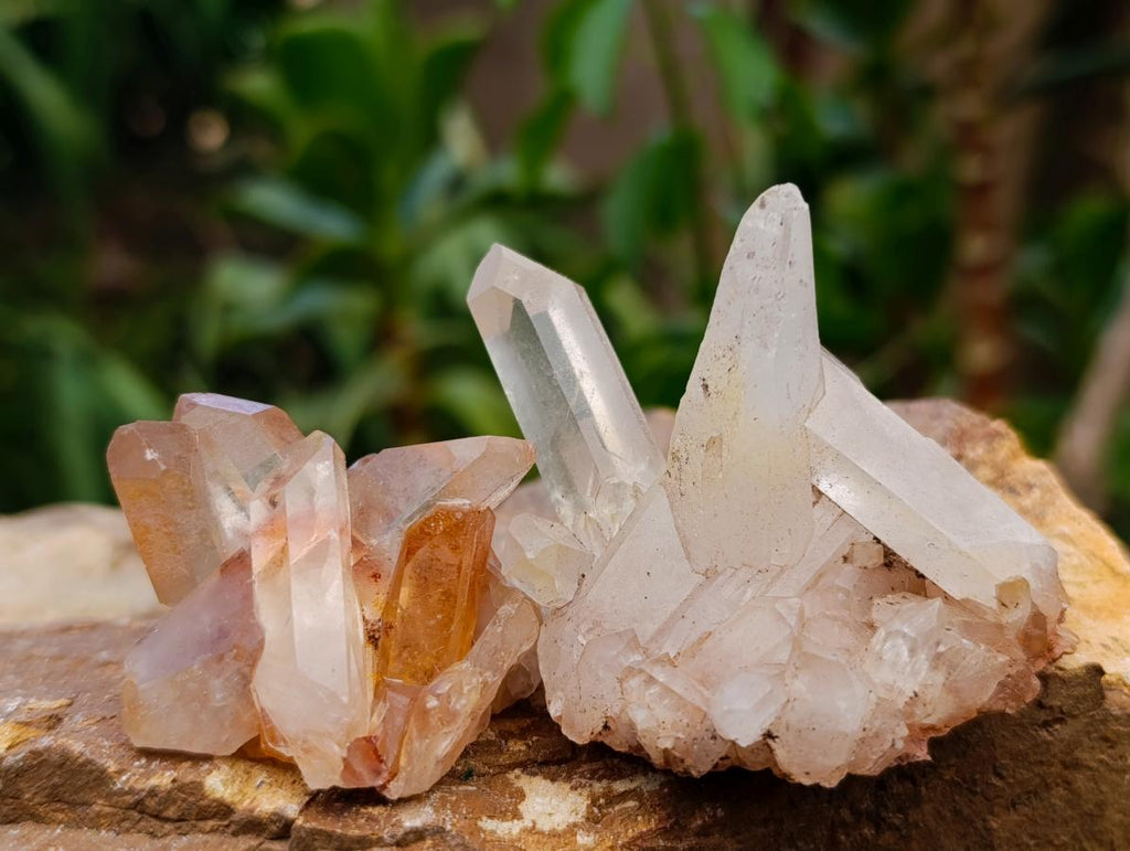 Natural Quartz Clusters x 26 From Madagascar