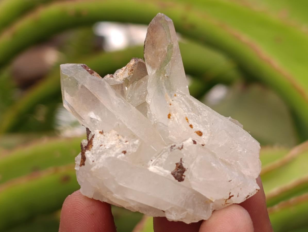 Natural Quartz Clusters x 26 From Madagascar