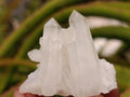 Natural Quartz Clusters x 26 From Madagascar