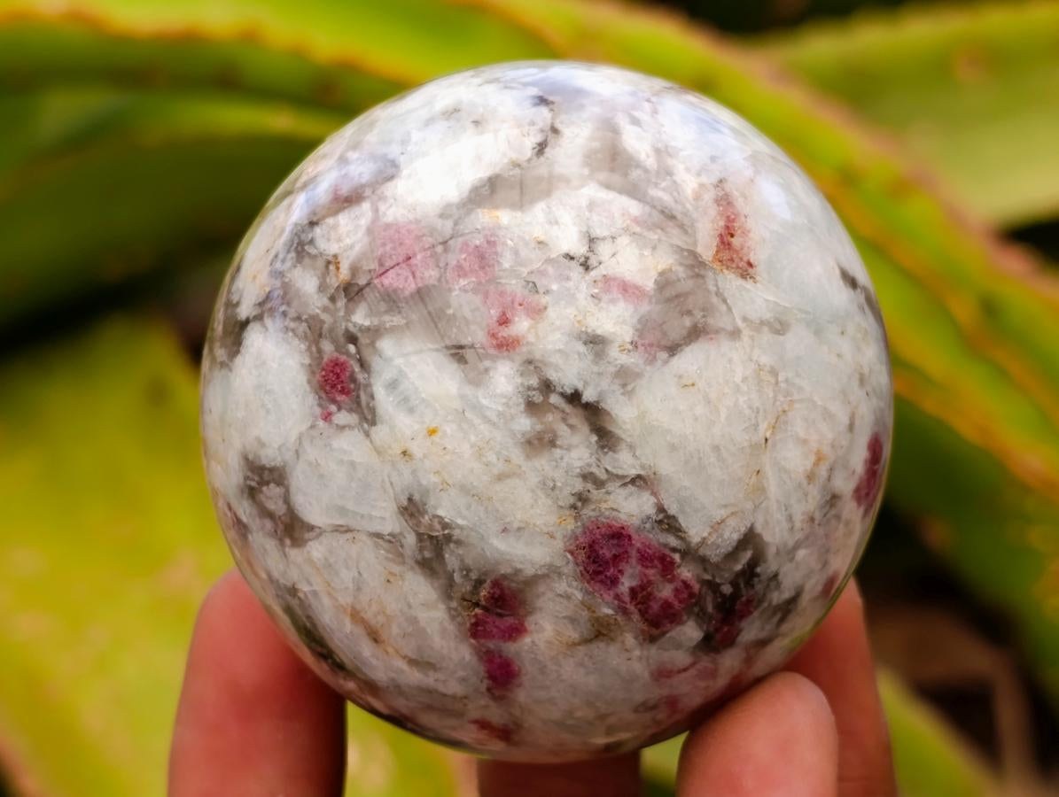 Polished Rubellite Pink Tourmaline Spheres x 5 From Ambatondrazaka, Madagascar