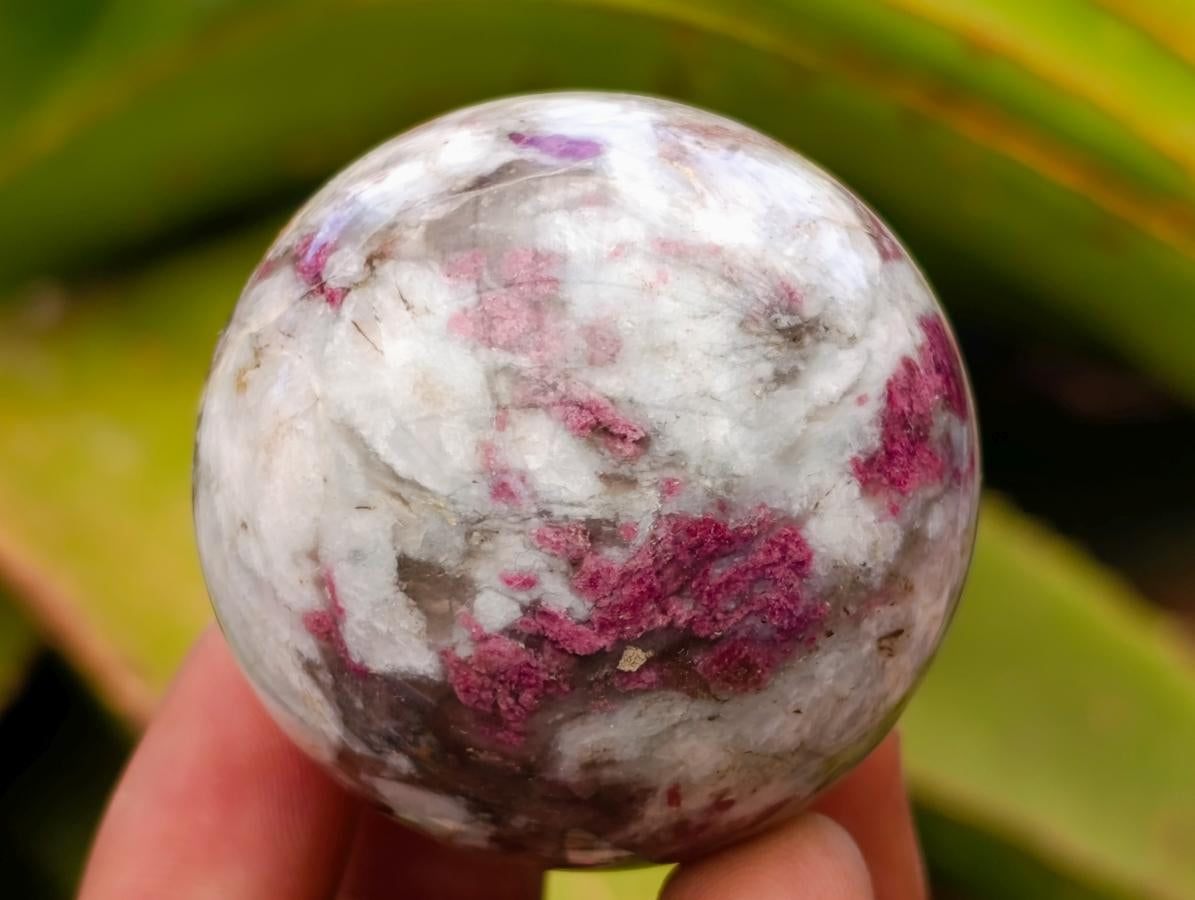 Polished Rubellite Pink Tourmaline Spheres x 5 From Ambatondrazaka, Madagascar