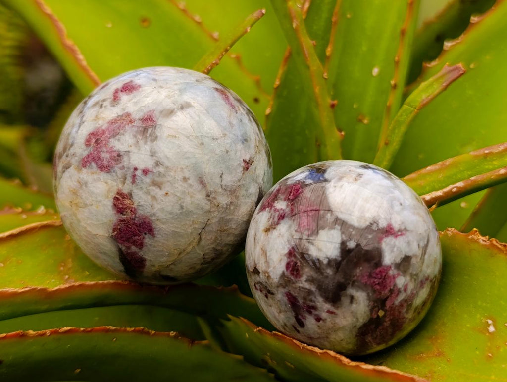 Polished Rubellite Pink Tourmaline Spheres x 5 From Ambatondrazaka, Madagascar