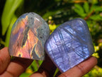 Polished Rare Purple Sunset Flash Labradorite Standing Free Forms x 12 From Madagascar - Toprock Gemstones and Minerals 