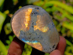 Polished Rare Purple Sunset Flash Labradorite Standing Free Forms x 12 From Madagascar - Toprock Gemstones and Minerals 