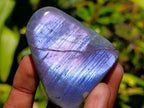 Polished Rare Purple Sunset Flash Labradorite Standing Free Forms x 12 From Madagascar - Toprock Gemstones and Minerals 
