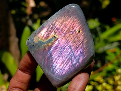 Polished Rare Purple Sunset Flash Labradorite Standing Free Forms x 12 From Madagascar - Toprock Gemstones and Minerals 
