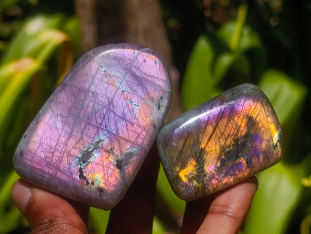 Polished Rare Purple Sunset Flash Labradorite Standing Free Forms x 12 From Madagascar - Toprock Gemstones and Minerals 