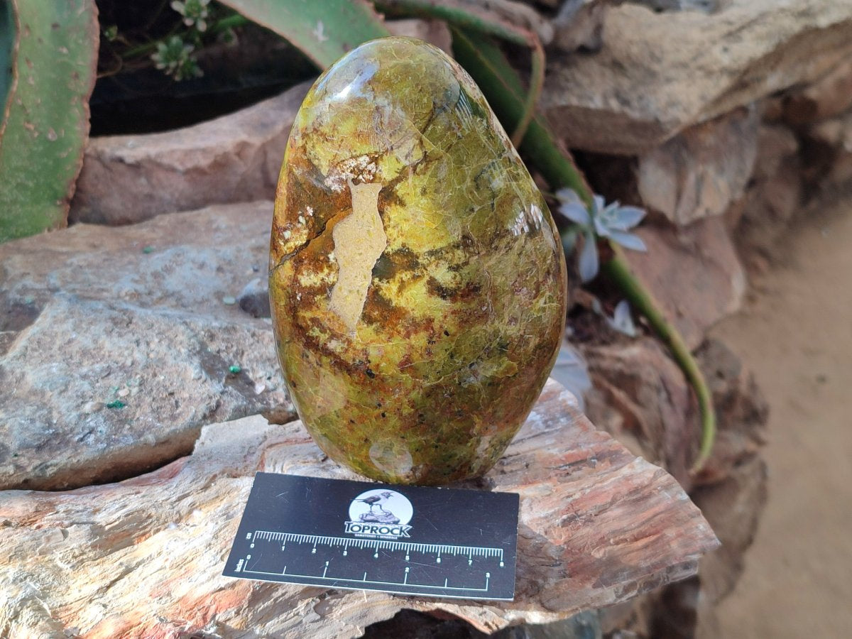 Polished Green Opal Standing Free Forms x 5 From Betroka, Madagascar - Toprock Gemstones and Minerals 